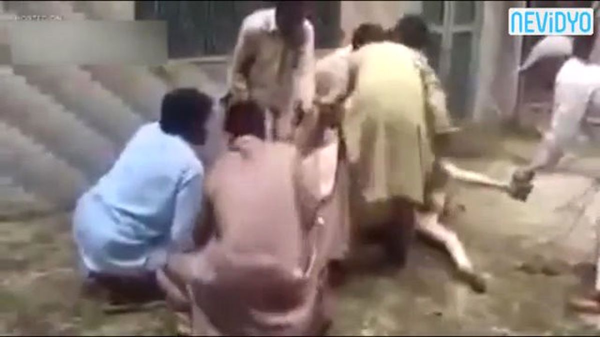 Kesmek İstediği Dananın Kurbanı Oldu!