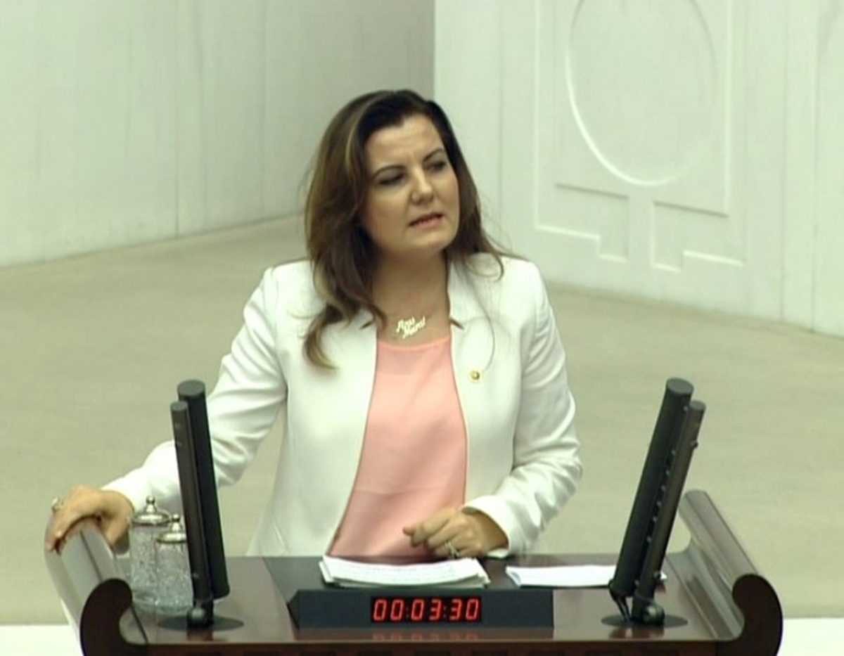 CHP Milletvekili Hürriyet, Khk Konusunu Meclise Taşıdı