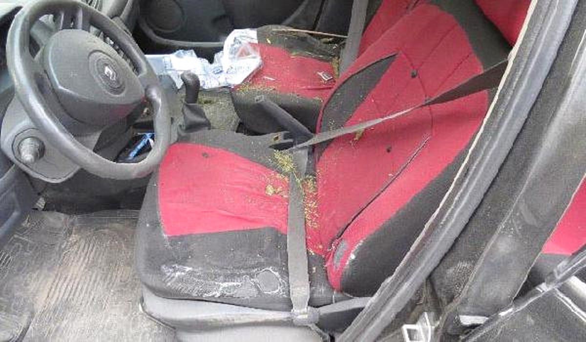Denizli\'de 53 Kilo Esrara 6 Tutuklama