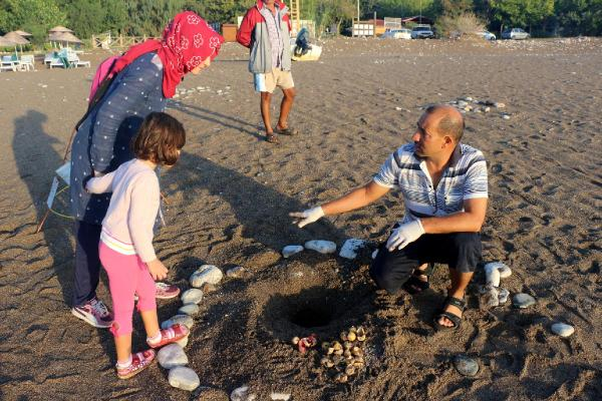 Kemer\'de 9 Bin 610 Yavru Caretta Denizle Buluştu