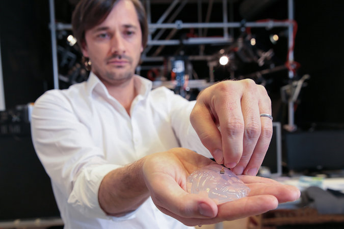 Sağ Bacağı Felçli Olan Maymun Yürütüldü