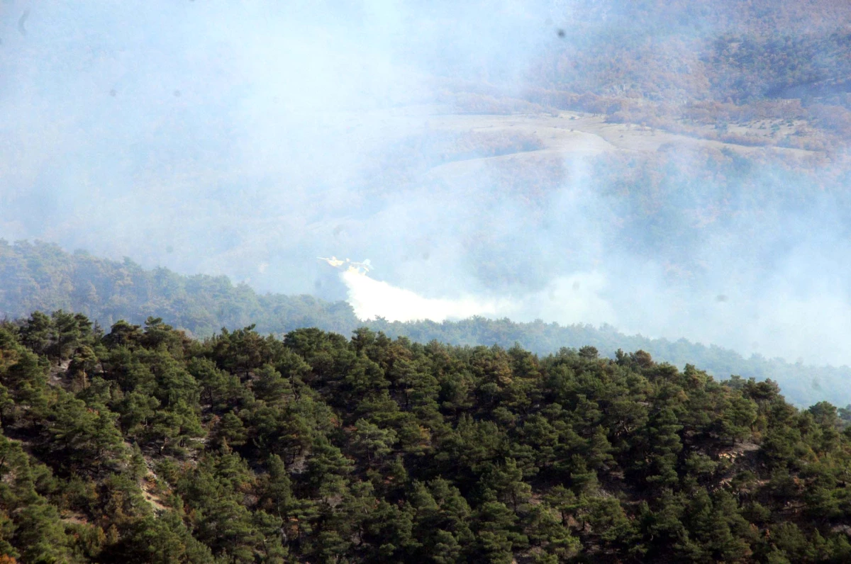 Tokat\'ta Orman Yangını Kontrol Altına Alındı