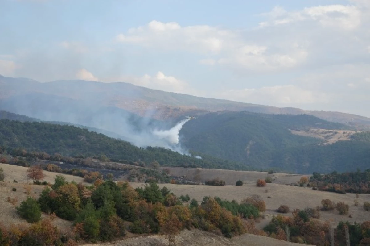 Tokat\'taki Orman Yangınına Uçakla Müdahale Ediliyor