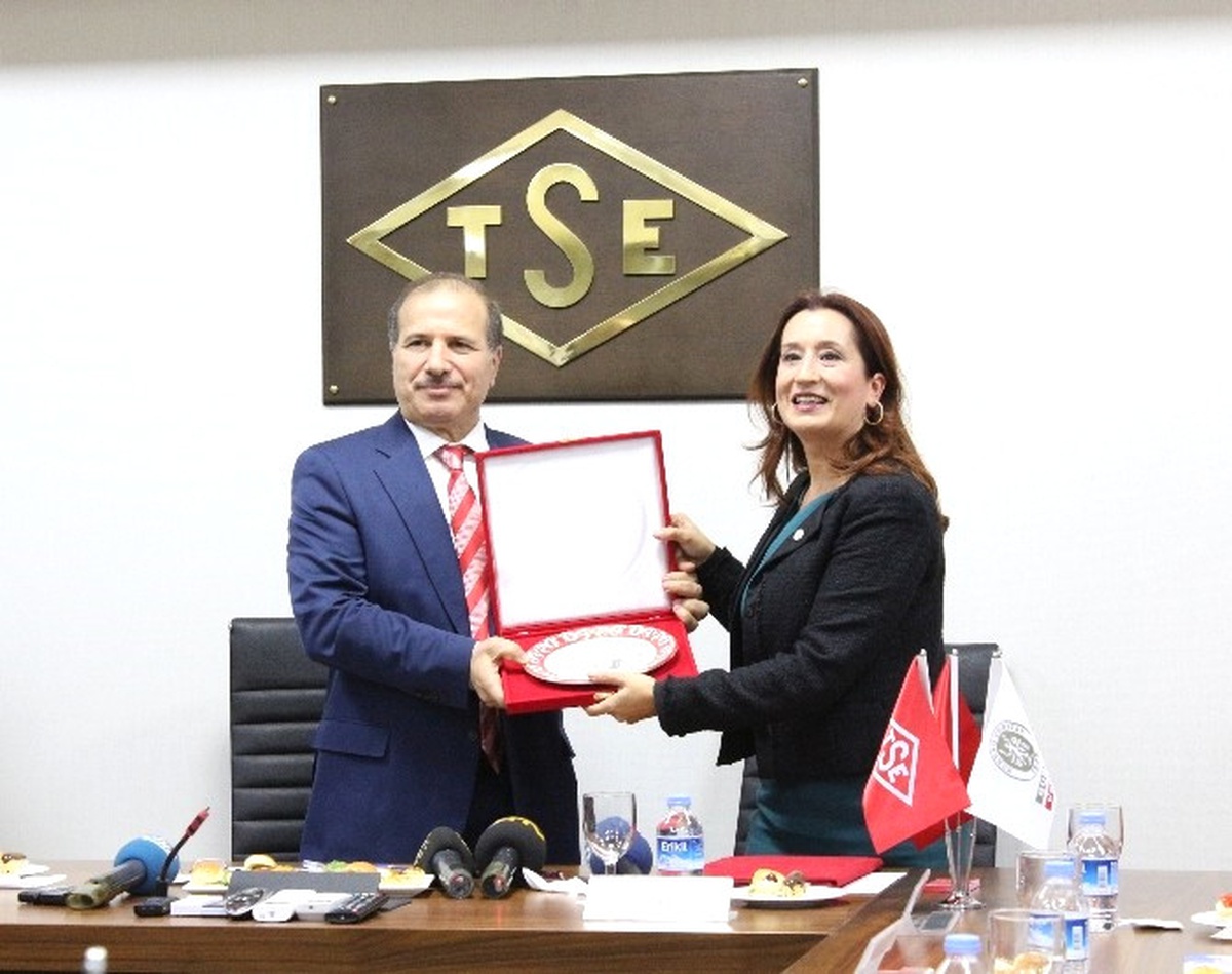 Tse ve Burea Veritas Nükleer Santral Gözetim Hizmetleri İçin İşbirliğine Gidiyor