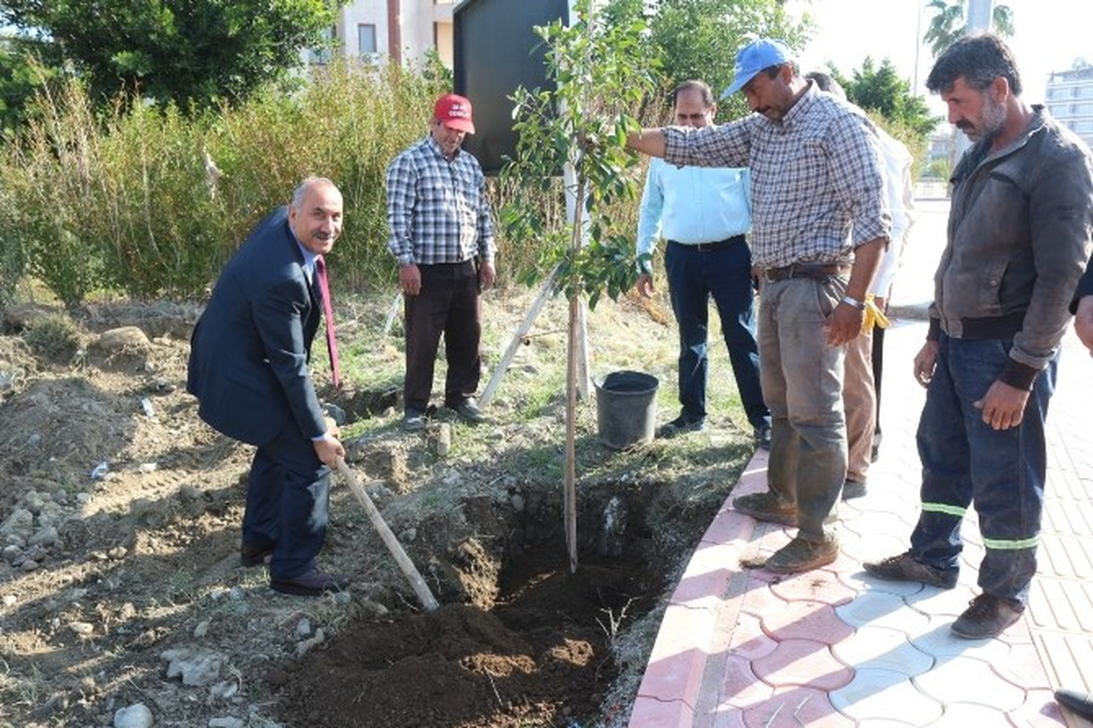 Arsuz\'da Hedef Daha Yeşil Bir Kent