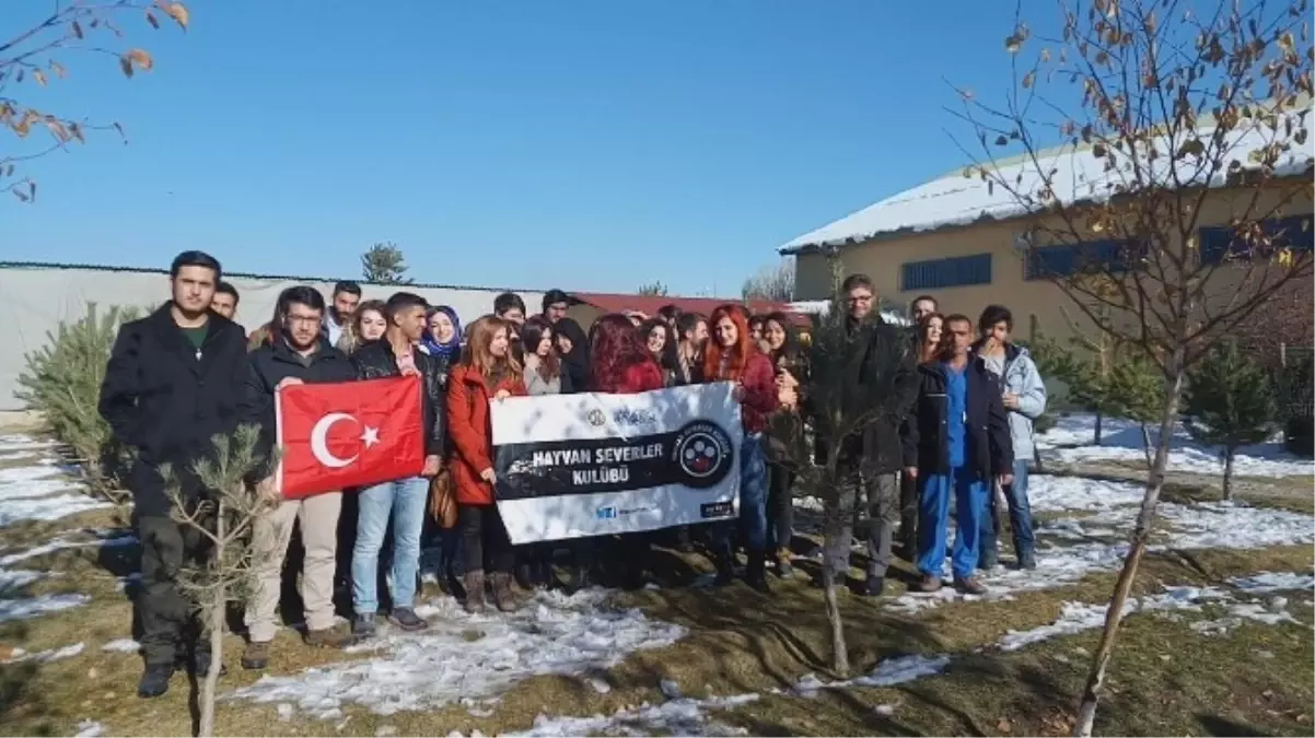 Atatürk Üniversitesi Hayvan Severler Kulübü\'nden Hayvan Barınağına Ziyaret