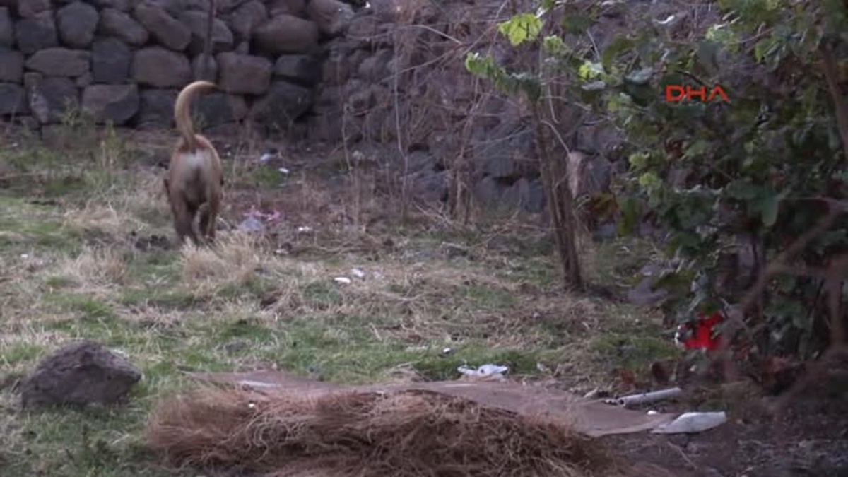 Diyarbakır\'da PKK\'nın Gömülü Silah ve Mühimmatı Bulundu