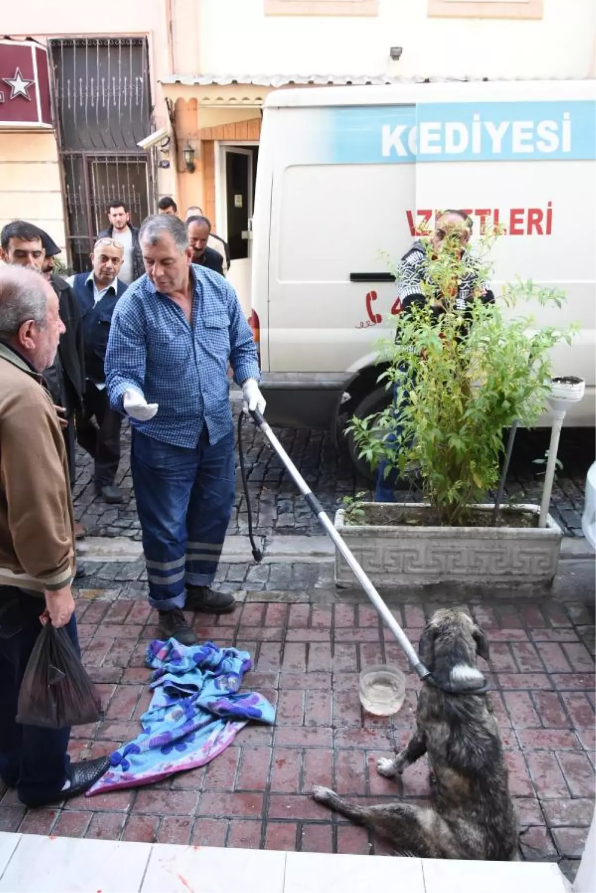 Köpeğe Çarpan Sürücü Kaçtı