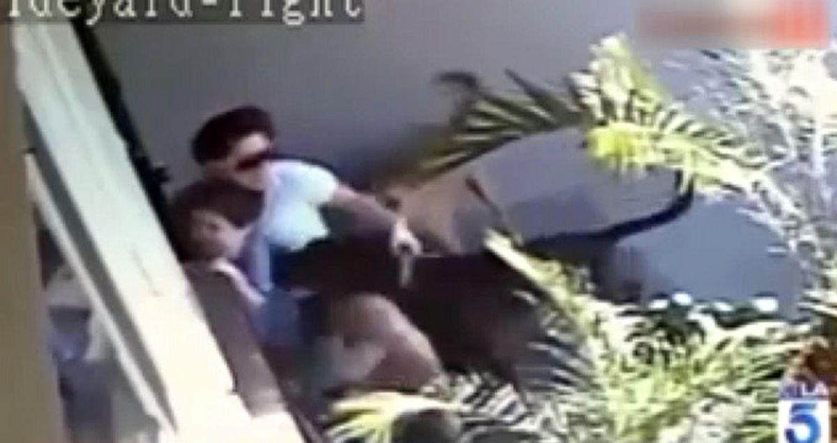 ABD'de Bir Anne, Saldırgan Köpeklere Karşı Oğluna Siper Oldu