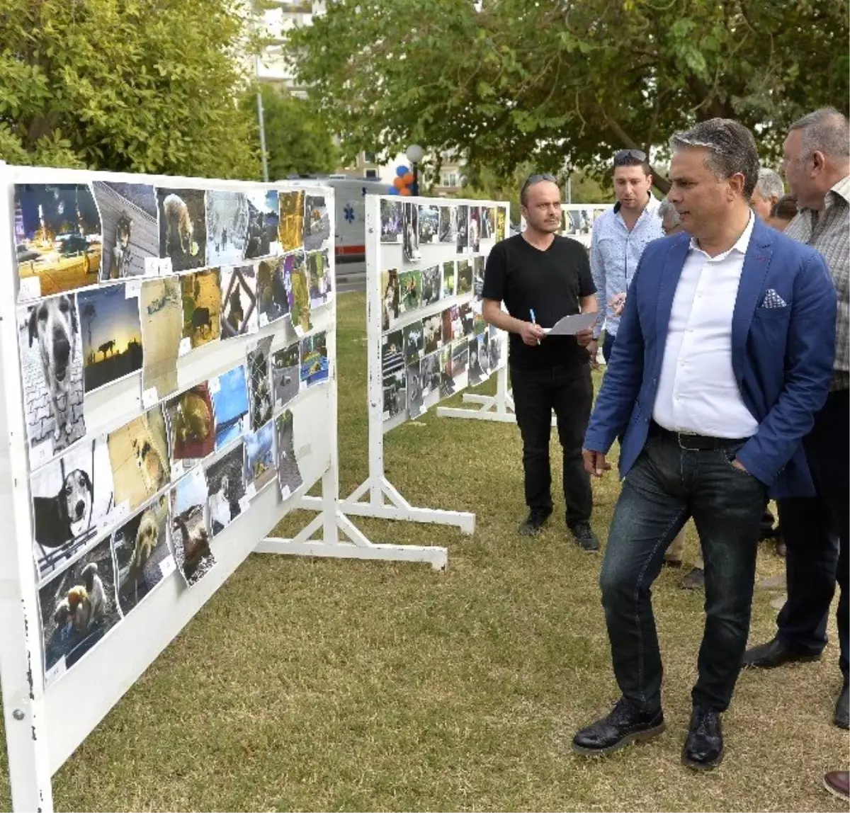 Muratpaşa\'da Sokak Hayvanları Festivali Düzenlendi