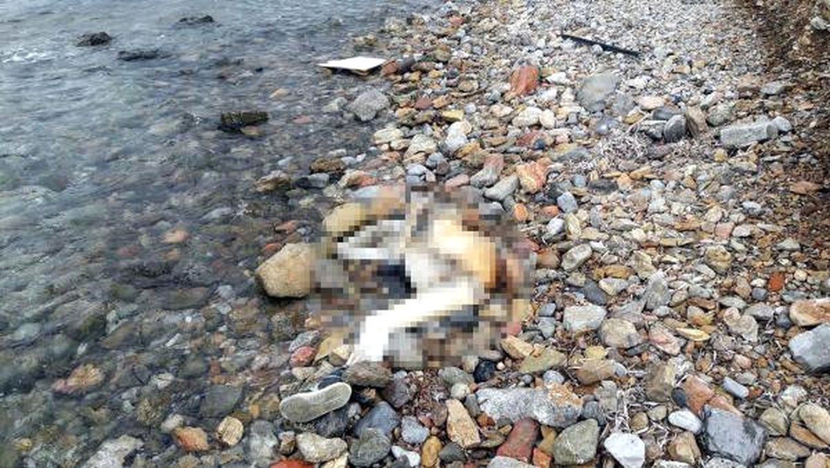 Şenlik İçin Gittikleri Bodrum'da Çıplak Erkek Cesedi Buldular