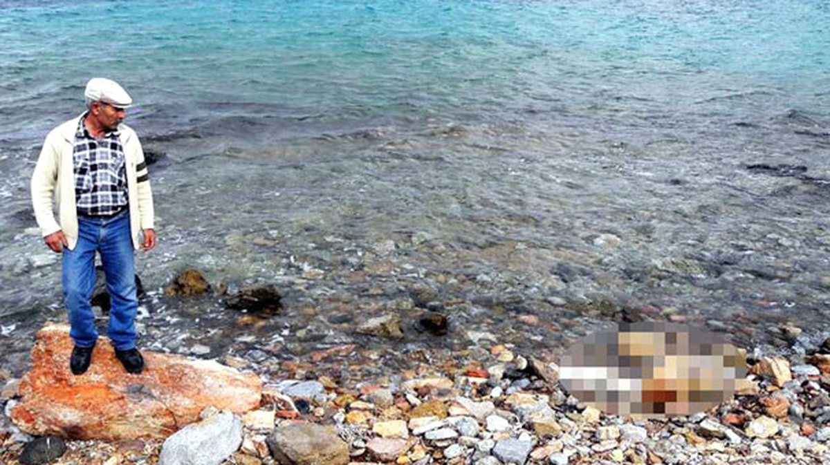 Şenlik İçin Gittikleri Karaada\'da Erkek Cesedi Buldular