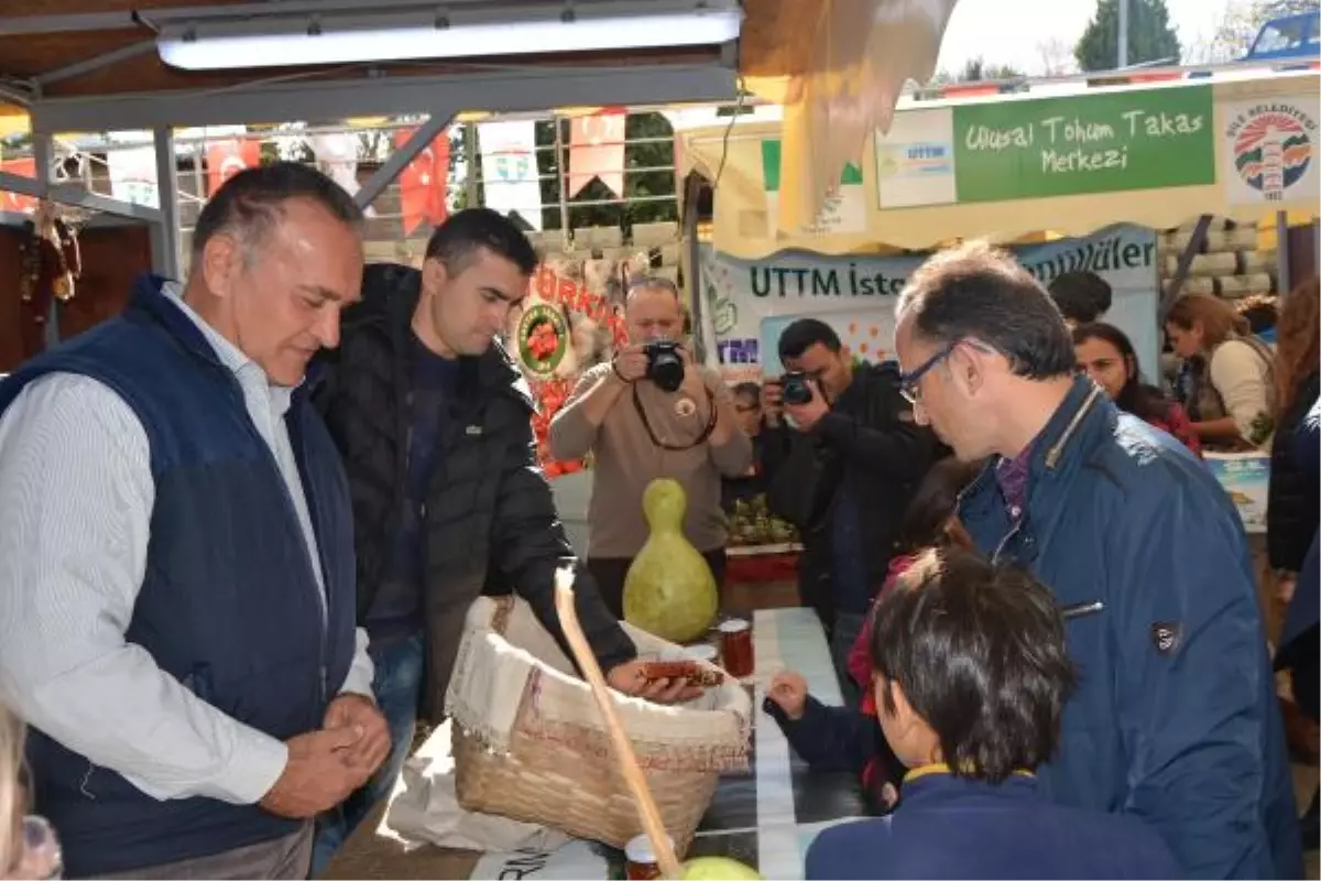 Şile\'de 4\'üncüsü Yapılan "Tohum Takas Şenliği" Büyük İlgi Gördü