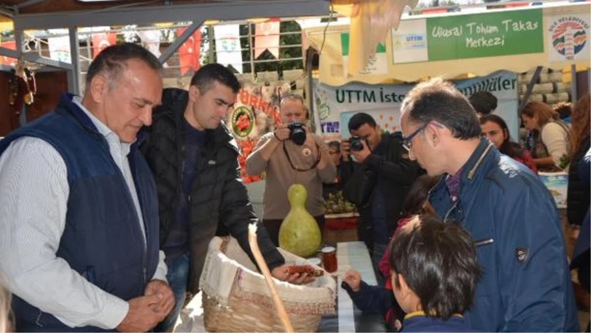 Şile\'de 4\'üncüsü Yapılan "Tohum Takas Şenliği" Büyük İlgi Gördü