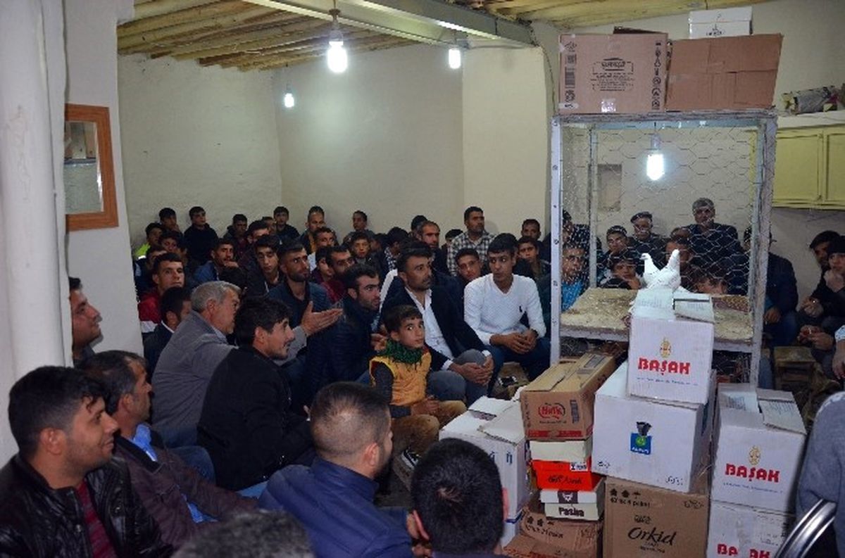 Siverek'te, Güvercinler Otomobil Fiyatına Satılıyor