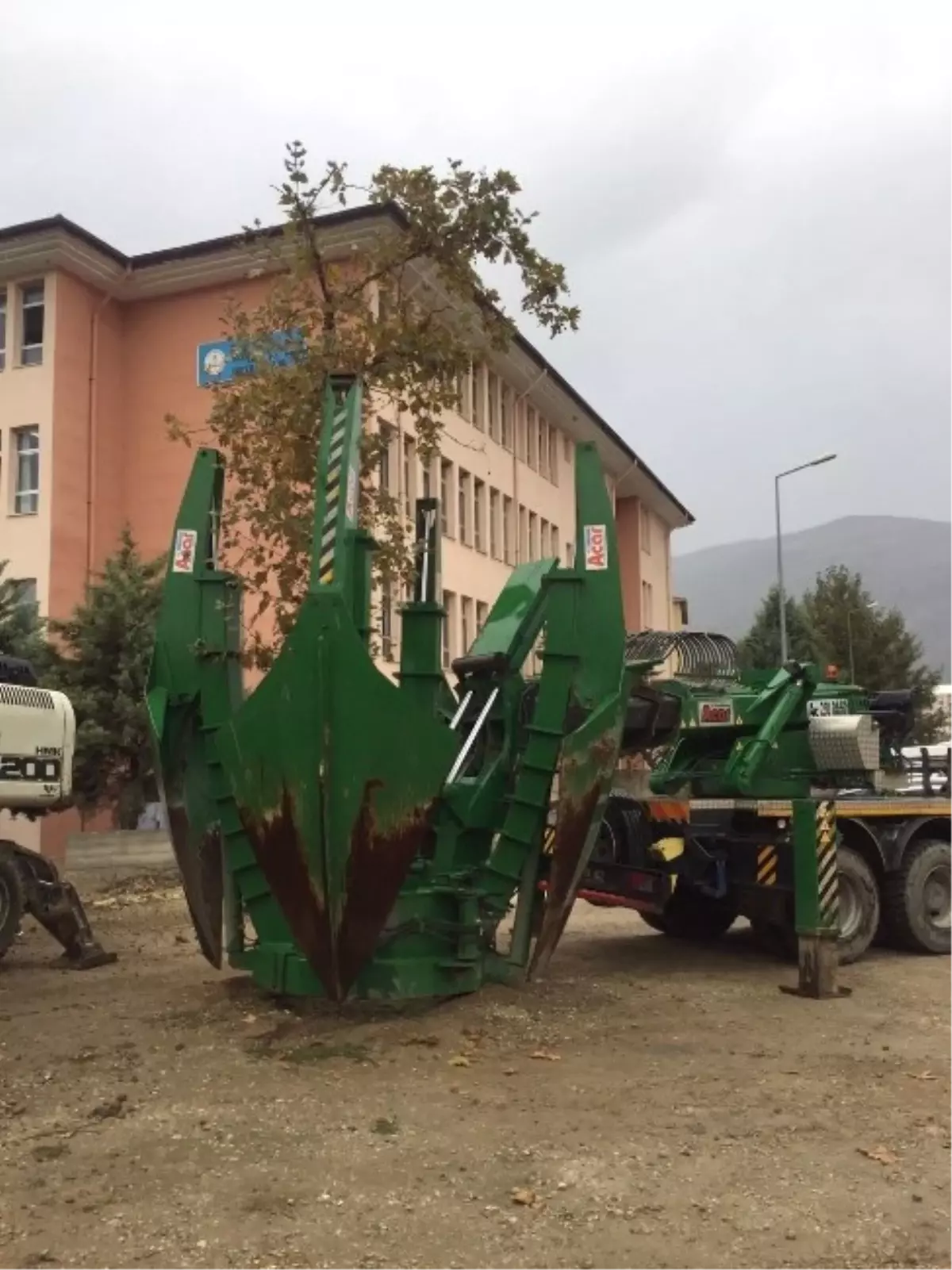 Ağaçlar Kesilmek Yerine Nakledildi