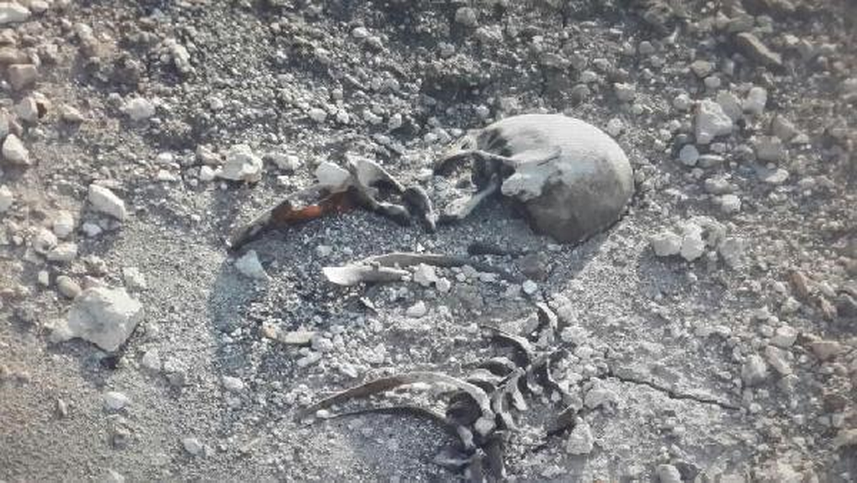 Barajda İnsan İskeleti Bulundu