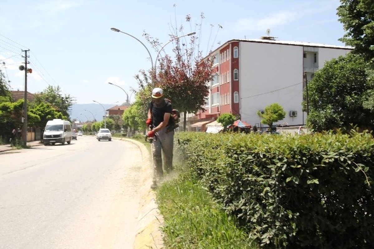 Park ve Bahçeler Müdürlüğü Ekipleri Ağaç Budama Çalışmalarına Başladı