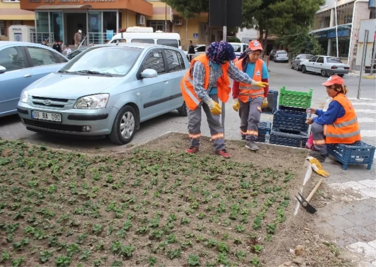 Söke\'de Park ve Bahçeler Kadın Eli ile Güzelleşiyor