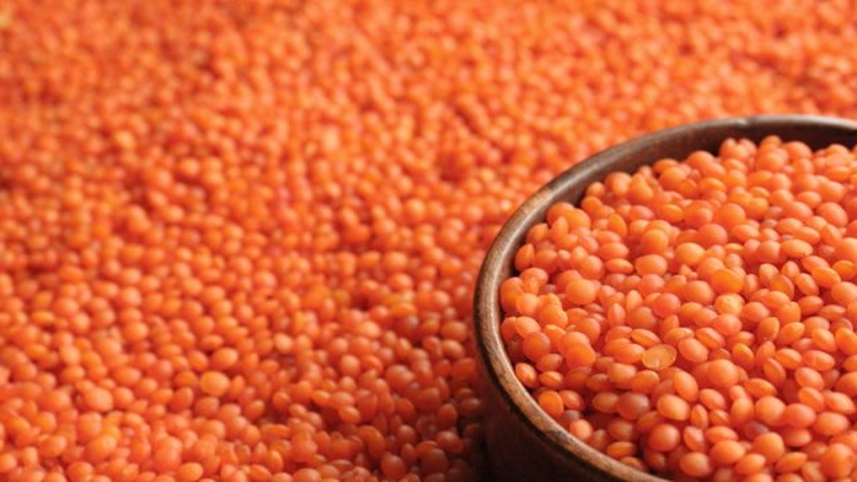 Şanlıurfa Ticaret Borsası