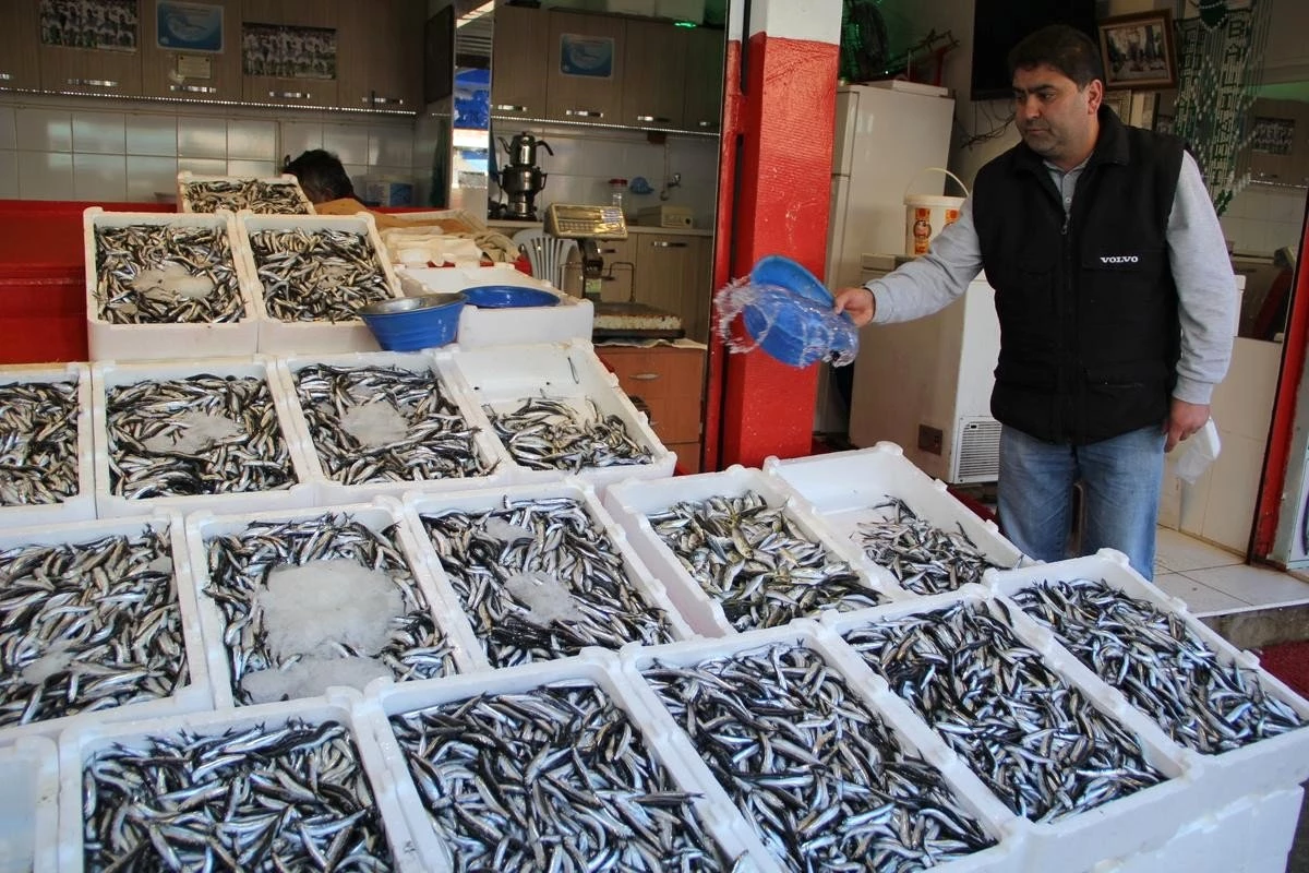 Sinop\'ta Hava Muhalefeti Balıkçıyı Üzdü, Esnafı Sevindirdi