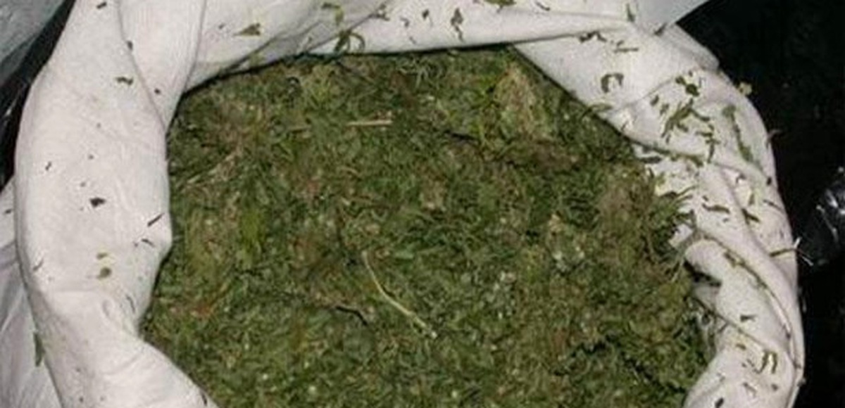 Adana\'da 32 Kilogram Esrar Ele Geçirildi