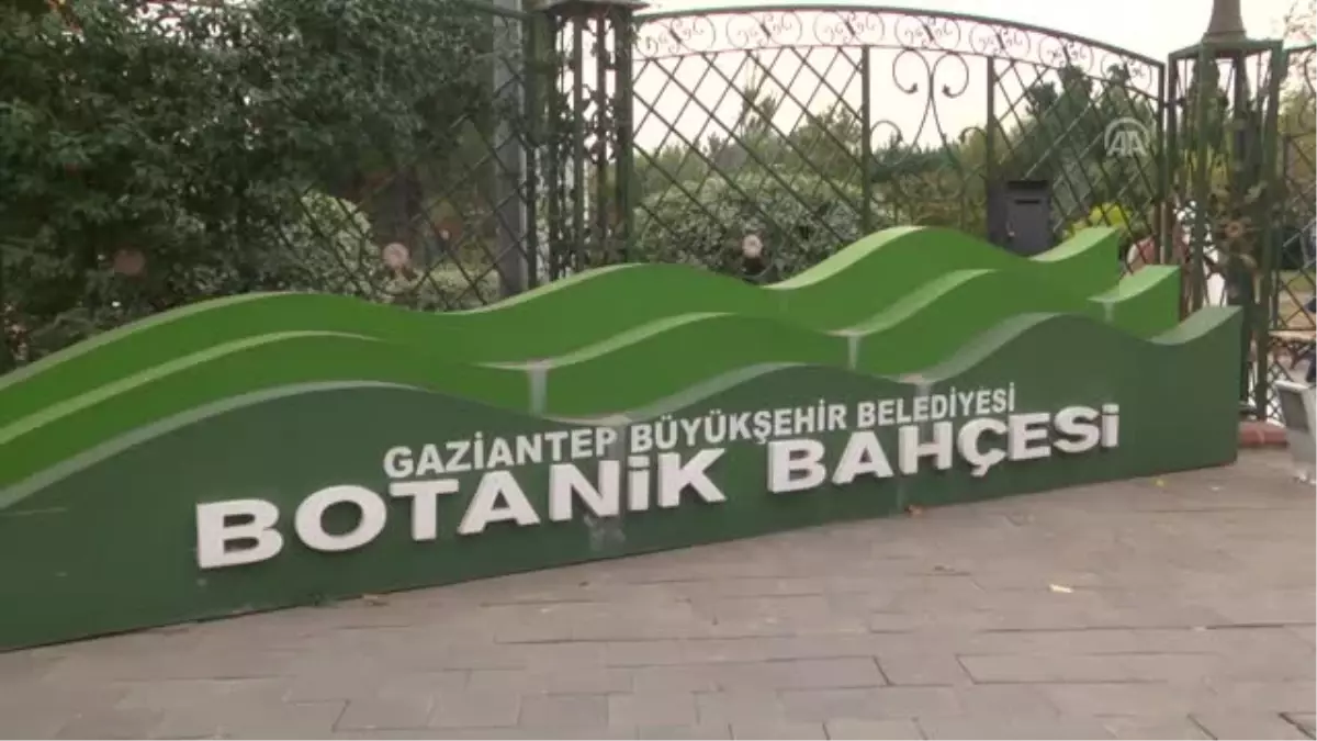 Botanik Bahçesinde Sonbahar Güzelliği