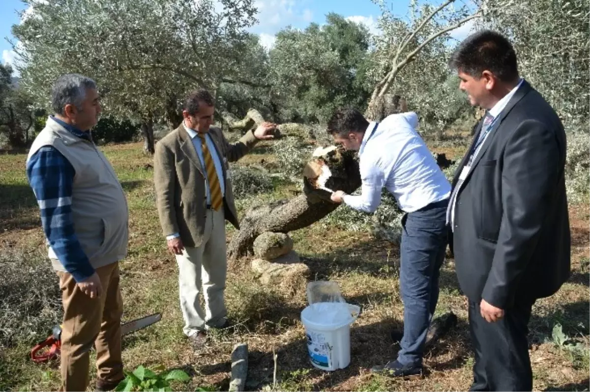 Büyükşehir Hortum Felaketin İzlerini Siliyor