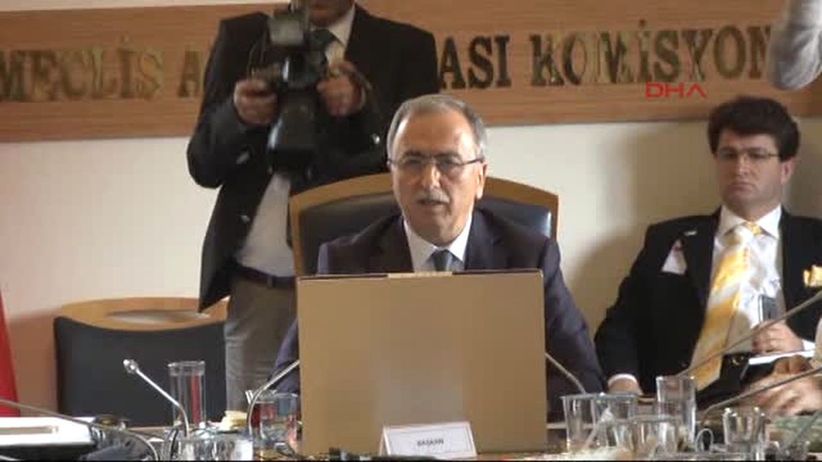 Darbe Girişimini Araştırma Komisyonu, Hande Fırat\'ı Dinledi