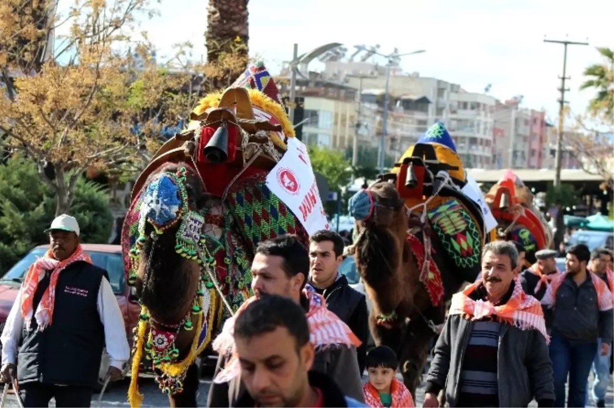 Güreşçi Develer Şehir Turu Attı