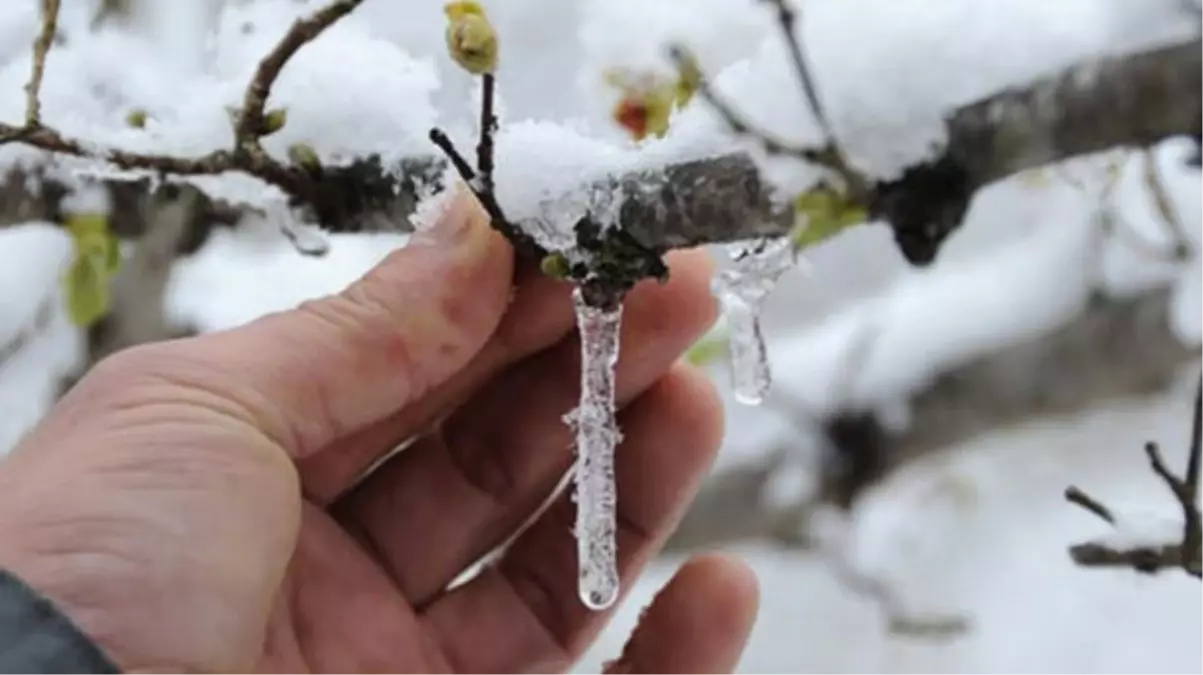 Meteorolojiden Zirai Don Uyarısı