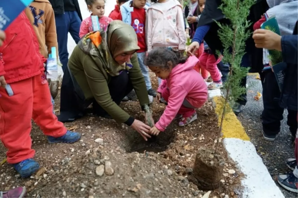 Okul Bahçesine Fidanlar Dikildi