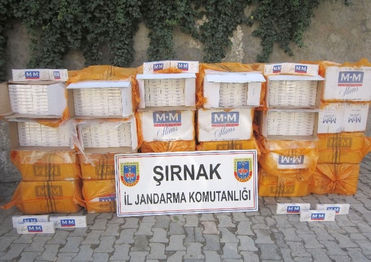 Şırnak\'ta 206 Bin 685 Paket Kaçak Sigara Ele Geçirildi