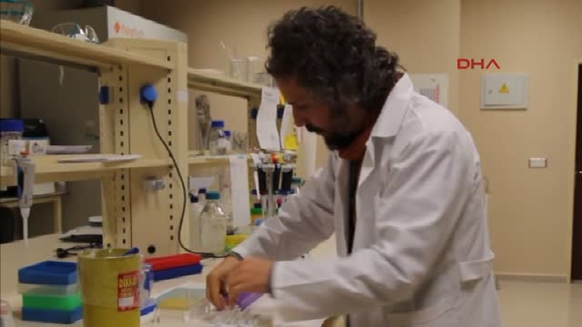 Türkiye\'deki 5 Kuş Cinsinin 54 Farklı Türü Tespit Edildi