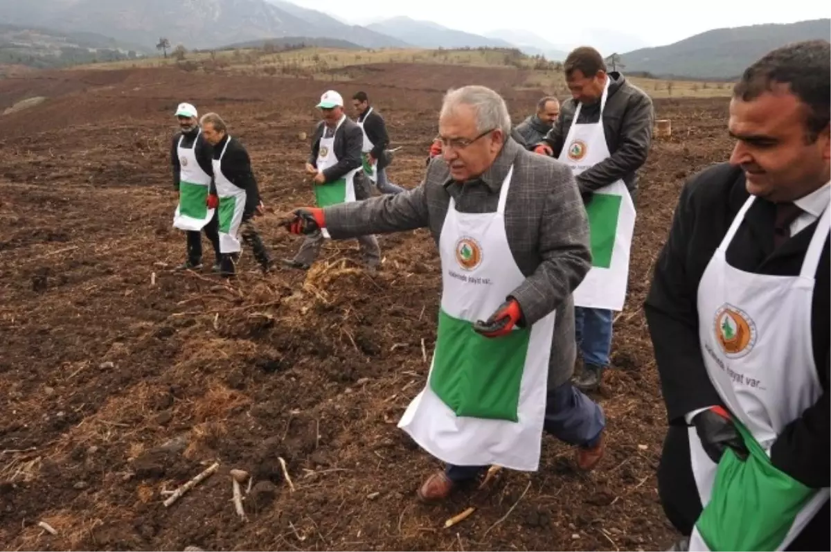 34 Milyon Tohum Toprakla Buluştu