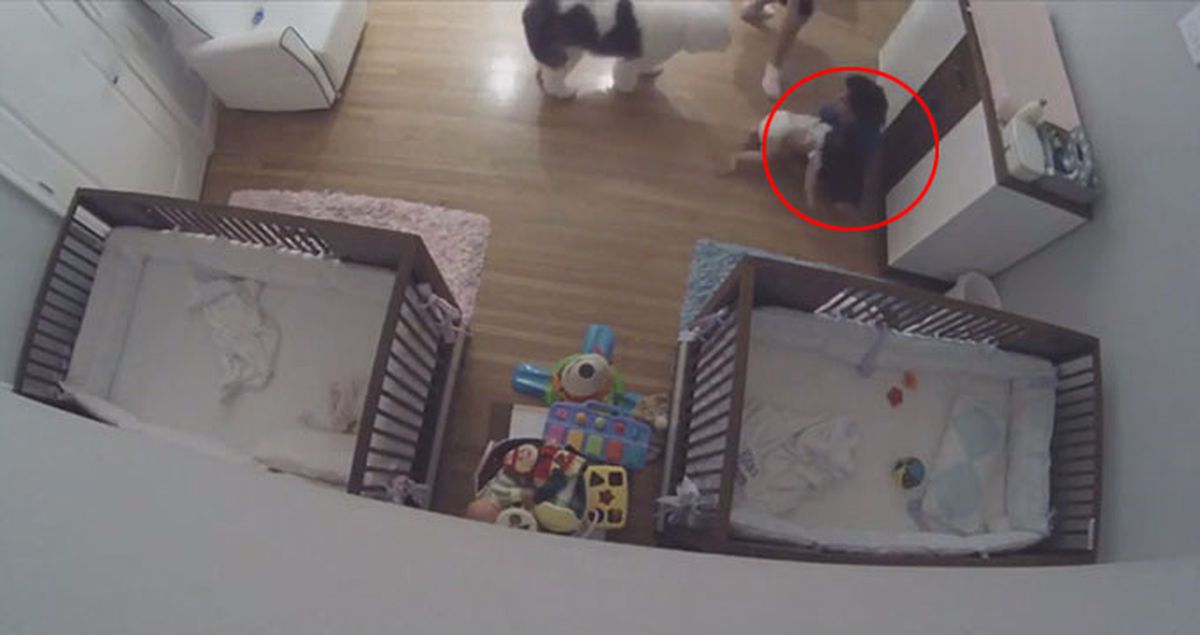 9 Yaşındaki Çocuk Masadan Düşen Kardeşini Havada Yakaladı