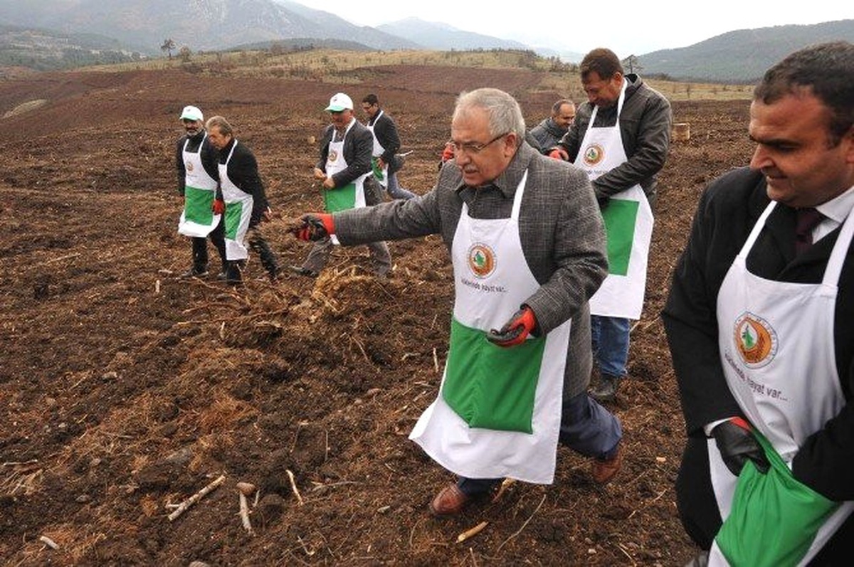 Kütahya\'da 35 Milyon Kızılçam Tohumu Toprakla Buluştu