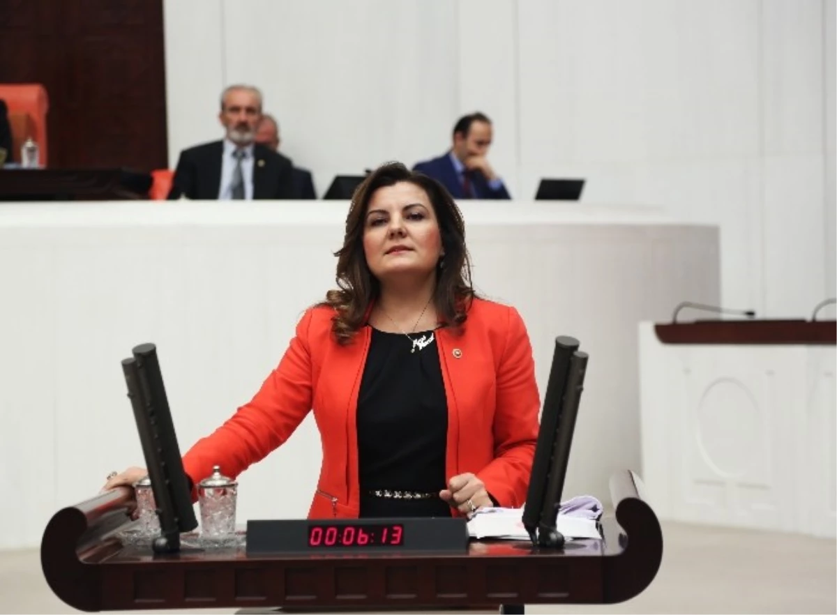 Milletvekili Hürriyet, Çevre Sorununu Meclise Taşıdı