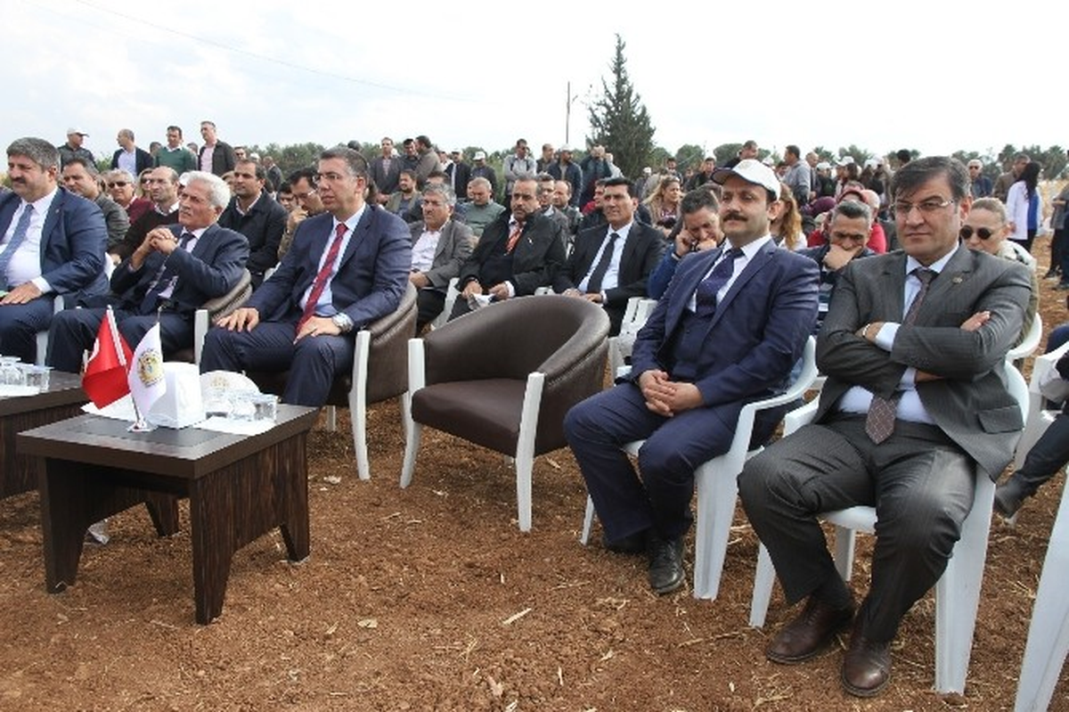 Şanlıurfa\'da Ulusal Mısır Tarla Günü Düzenlendi
