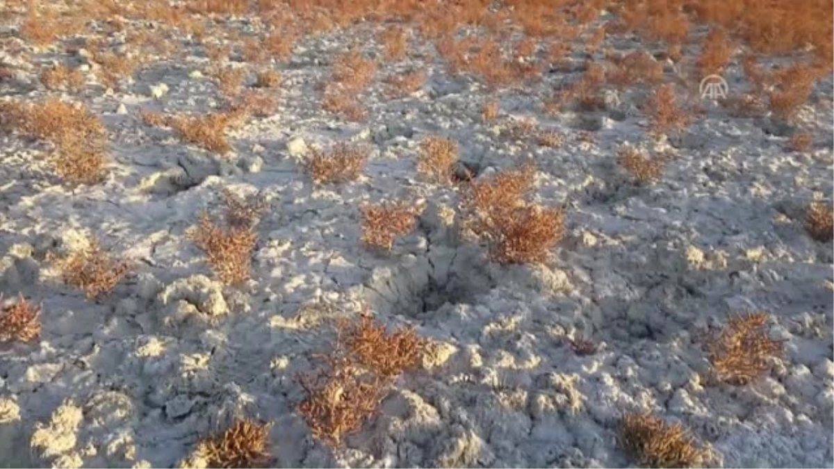 Seyfe Gölü Kuş Cenneti\'nin Yönetim Planı Revize Edildi