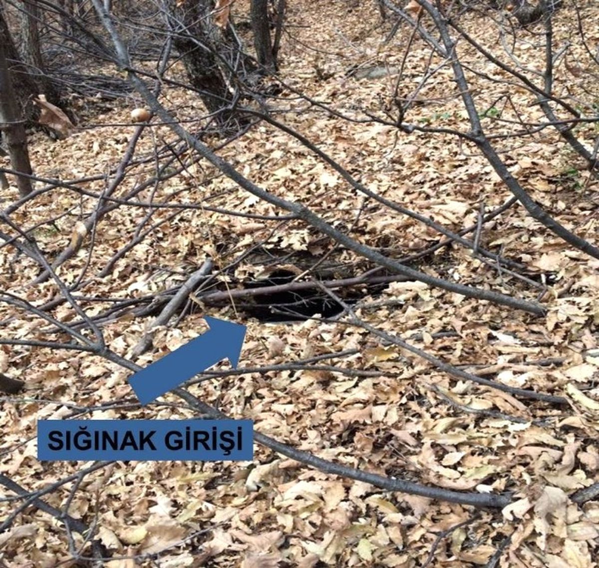 Terör Örgütünün 11 Odalı Sığınağından Cephane Çıktı