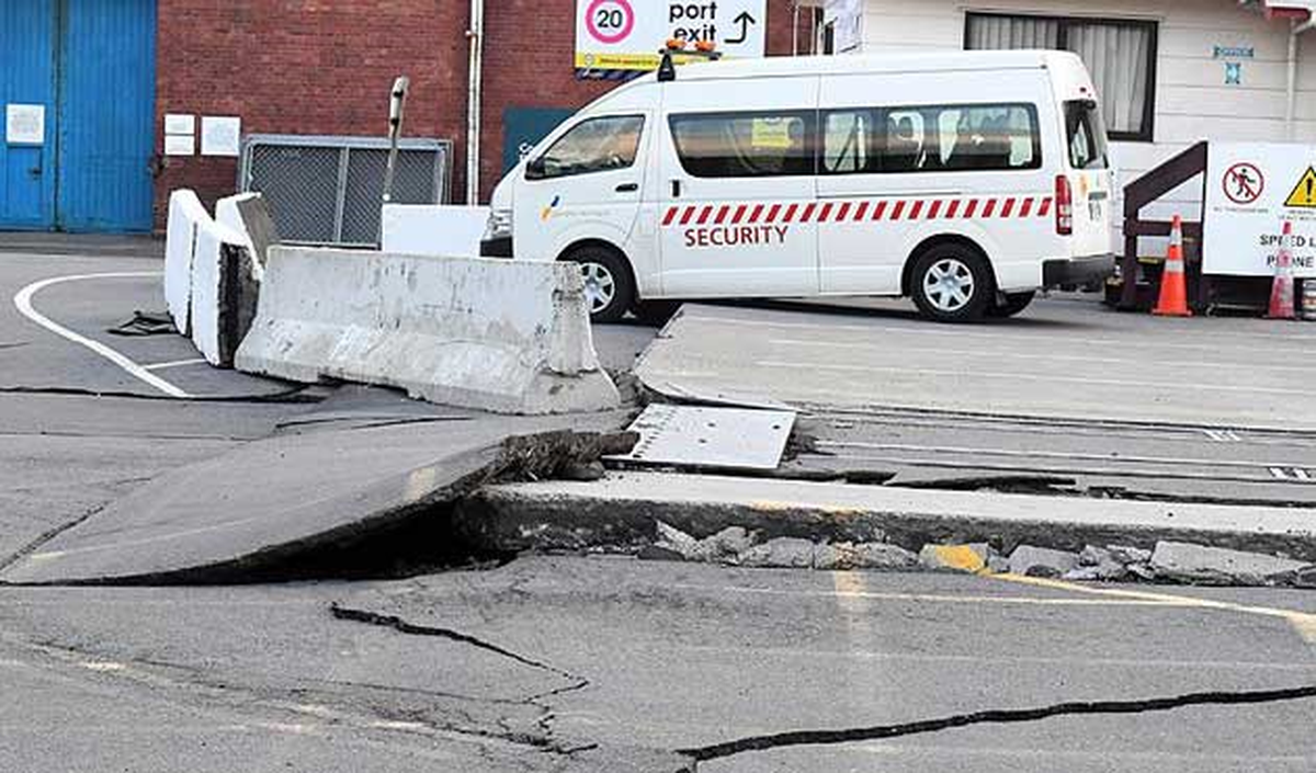 Yeni Zelanda Sahilleri Depremle Şekil Değiştirdi