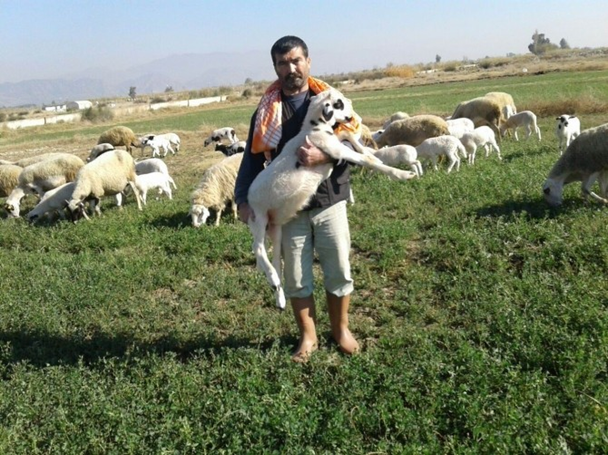 Aydın\'da Çobanlar Sandık Başına Gidiyor