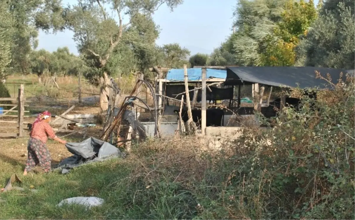 Aydın\'da Yazlıklardan Kışlıklara Dönüş Başladı