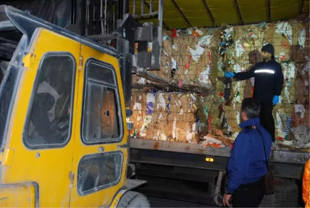 Dedektör Köpek "Fırtına" 195 Kilo Skunk Buldu