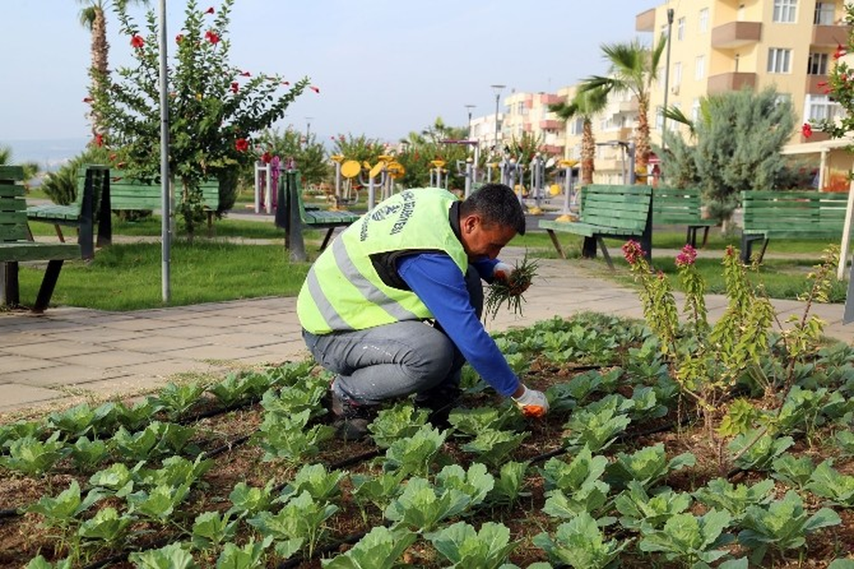 Erdemli\'de Park ve Yeşil Alanlara Kışlık Bakım