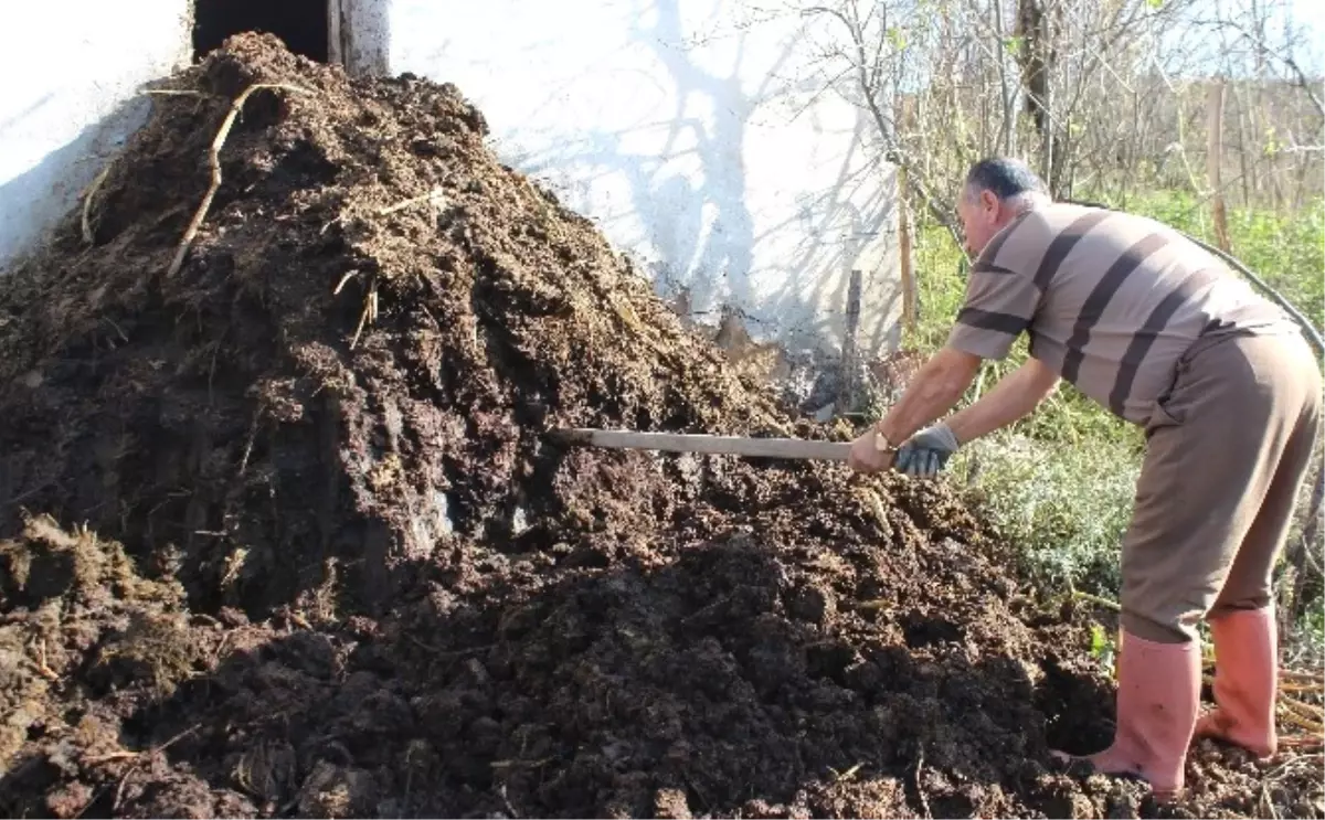 Kimyasal Gübre Yerine \'Çiftlik Gübresi\'