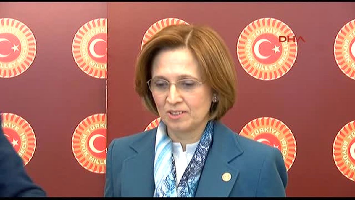 Mhp?li Depboylu; Kendiside Bir Babadır, Bir Ağabeydir, Böyle Bir Kanuna Olumlu Bakamaz