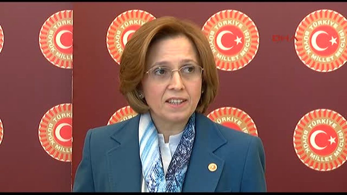 Mhp?li Depboylu; Kendiside Bir Babadır, Bir Ağabeydir, Böyle Bir Kanuna Olumlu Bakamaz