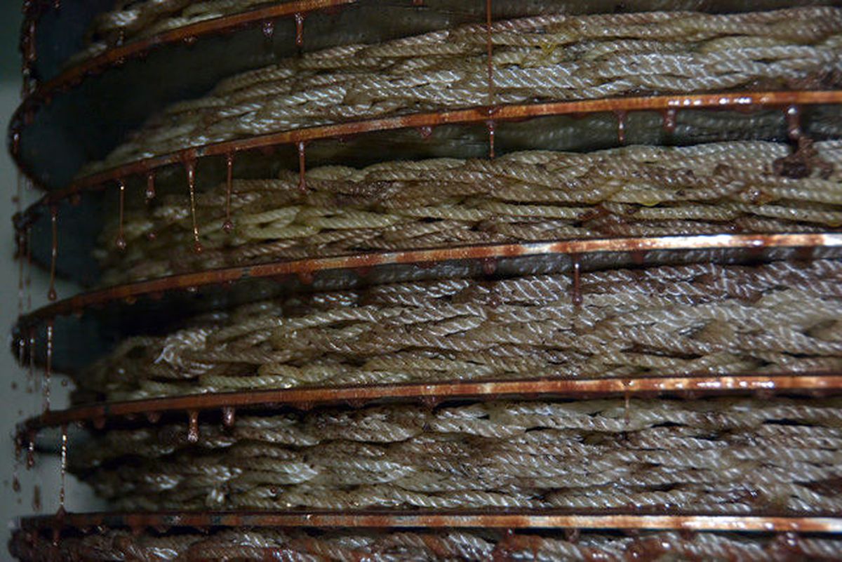 Zeytinin Hamurundan Elde Edilen 'Zeytin Sütü' Raflarda Yerini Aldı